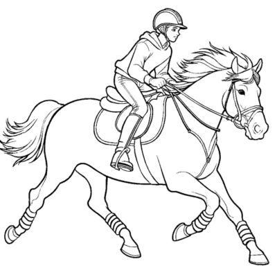Un garçon sur son cheval